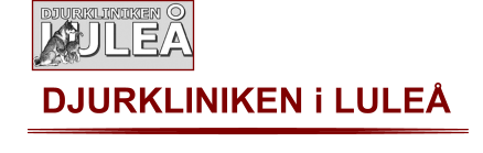 DJURKLINIKEN i LULEÅ