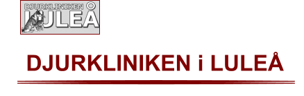 DJURKLINIKEN i LULEÅ