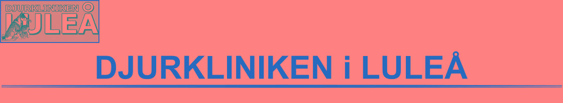 DJURKLINIKEN i LULEÅ