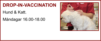 DROP-IN-VACCINATION Hund & Katt. Måndagar 16.00-18.00