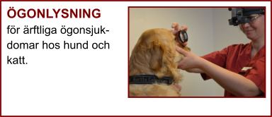 ÖGONLYSNING för ärftliga ögonsjuk- domar hos hund och katt.