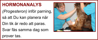 HORMONANALYS (Progesteron) inför parning, så att Du kan planera när Din tik är redo att paras. Svar fås samma dag som prover tas.