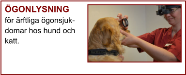 ÖGONLYSNING för ärftliga ögonsjuk- domar hos hund och katt.