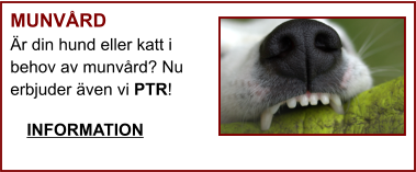 MUNVÅRD Är din hund eller katt i behov av munvård? Nu erbjuder även vi PTR!  INFORMATION