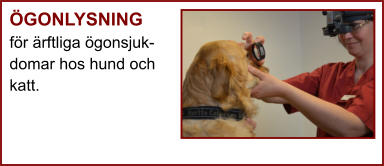 ÖGONLYSNING för ärftliga ögonsjuk- domar hos hund och katt.