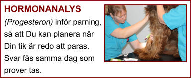 HORMONANALYS (Progesteron) inför parning, så att Du kan planera när Din tik är redo att paras. Svar fås samma dag som prover tas.