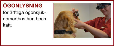 ÖGONLYSNING för ärftliga ögonsjuk- domar hos hund och katt.