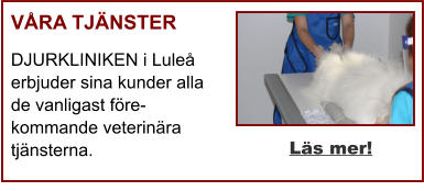 VÅRA TJÄNSTER DJURKLINIKEN i Luleå erbjuder sina kunder alla de vanligast före-kommande veterinära tjänsterna. Läs mer!